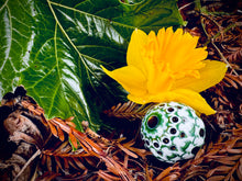 Load image into Gallery viewer, Ant on a G.Well
