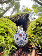 Load image into Gallery viewer, Mushebula
