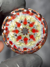 Load and play video in Gallery viewer, Betelgeuse
